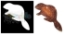 Picture of Beaver - Sparkle Stencil (1pc)