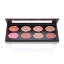 Picture of Ben Nye Fashion Blush Palette 8-color (ESP-922)